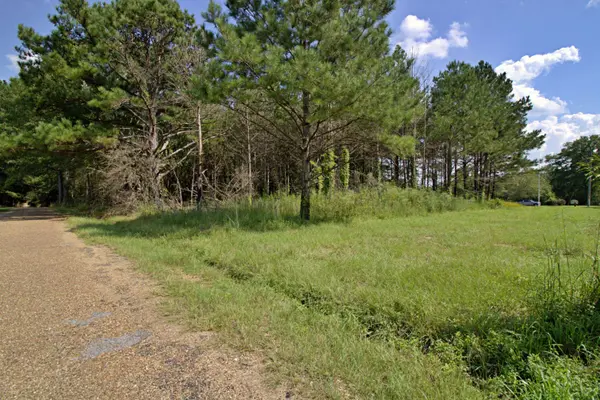 Lot 4 Blacktop Rd., Prentiss, MS 39474