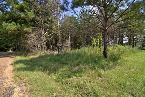 Lot 3 Blacktop Rd., Prentiss, MS 39474