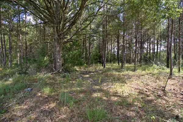 Lot 5 Blacktop Rd., Prentiss, MS 39474