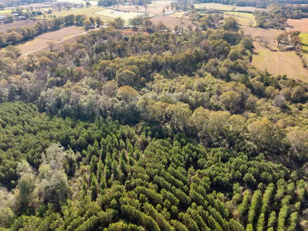 000 E Bond Rd., Wiggins, MS 39577