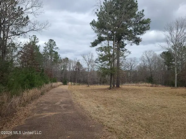 118 Grayson Road, Mendenhall, MS 39114