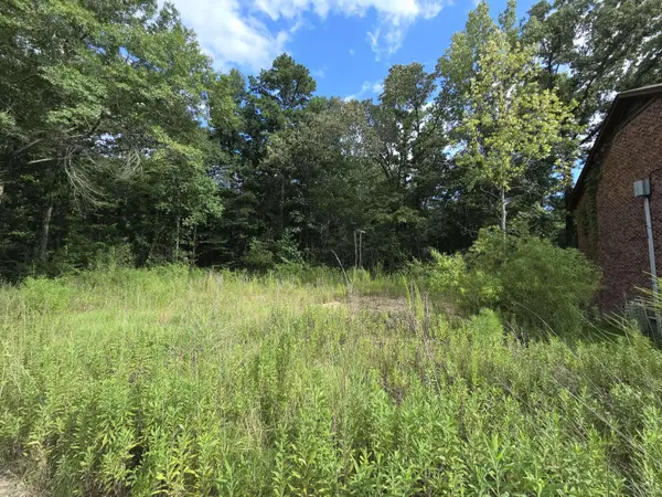124 B Plantation Blvd.