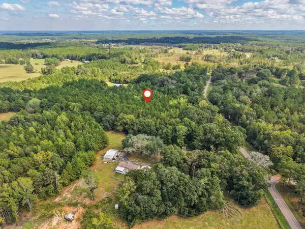 0000 Purvis To Baxterville, Purvis, MS 39475