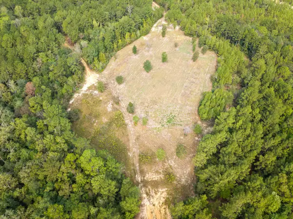 420 Old Highway 49, Hattiesburg, MS 39401