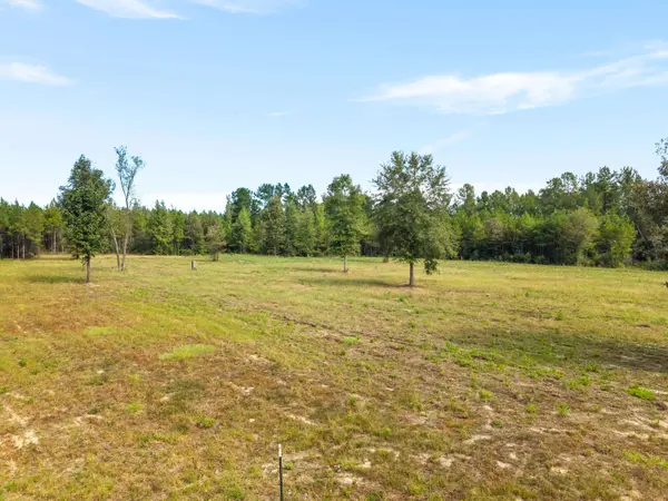 420 Old Highway 49, Hattiesburg, MS 39401