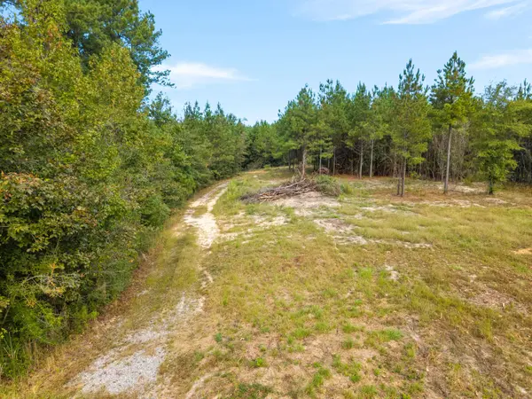 420 Old Highway 49, Hattiesburg, MS 39401