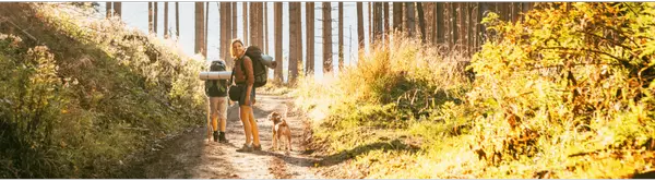 Discover the Best Things to Do in Bragg Creek, Alberta — And Why You Might Never Want to Leave