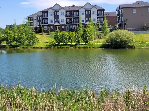 Why Outdoor Enthusiasts Are Falling in Love with Cochrane, Alberta