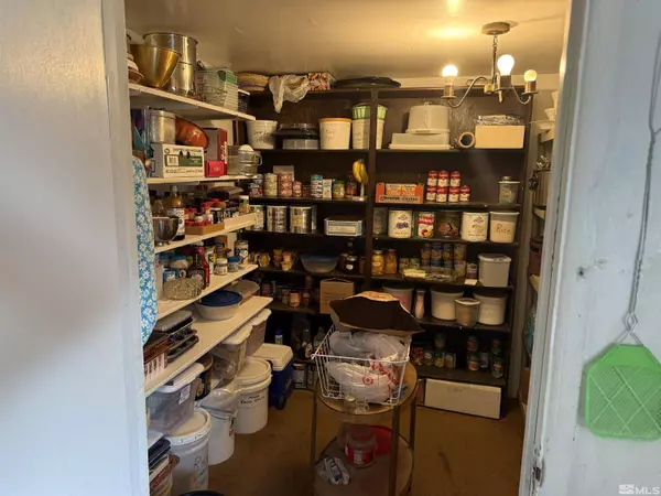 4250 Woodworth Ln, Orovada, NV 89445