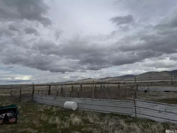 4250 Woodworth Ln, Orovada, NV 89445