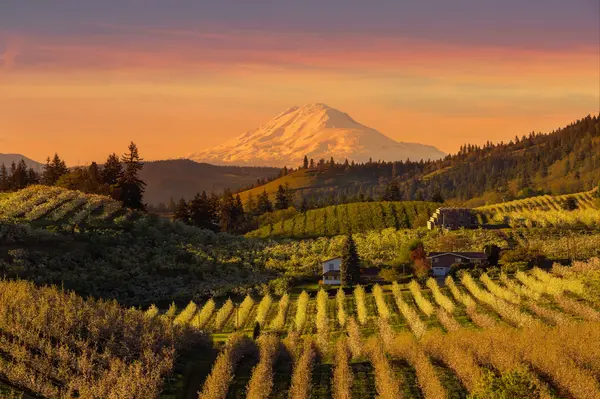 2026 Real Estate Forecast: Navigating the Market in Sandy, OR and the Mt. Hood Corridor