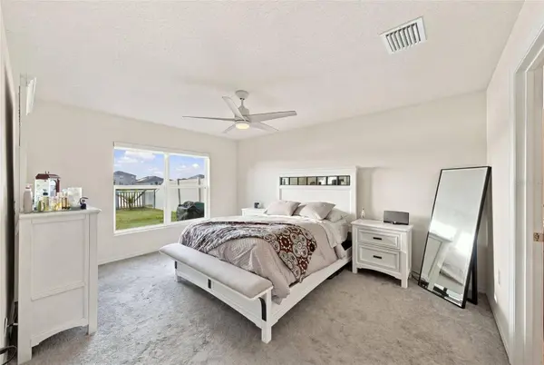 16739 SUNBURST LAKE ST, Wimauma, FL 33598
