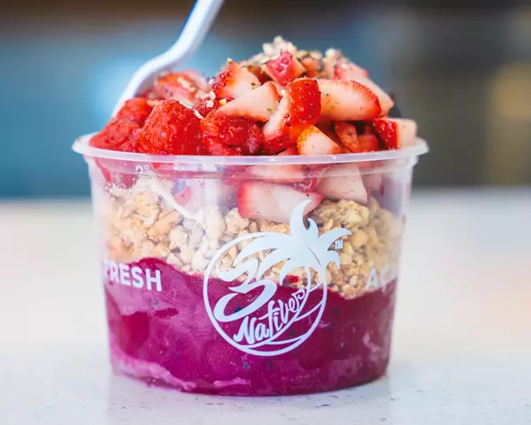 Tequesta-Dragon-3-1024x822