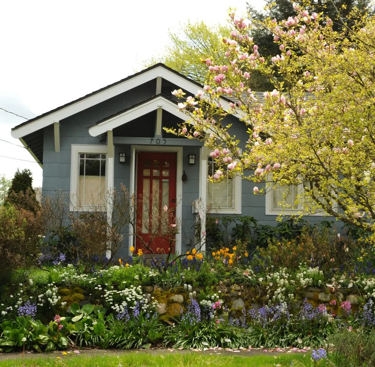  Wet flowering spring yard of a home in Seattle. Photo by Wonderlane on Unsplash