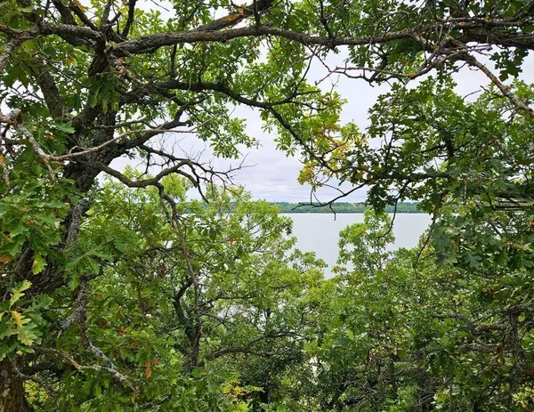 129 Gold Coast RD, Pelican Lake, MB R0K 1R0