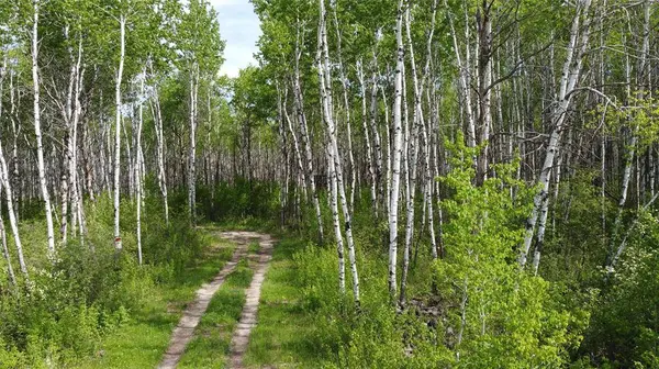 40125 48 RD North RD, St Genevieve, MB R5J 0A2
