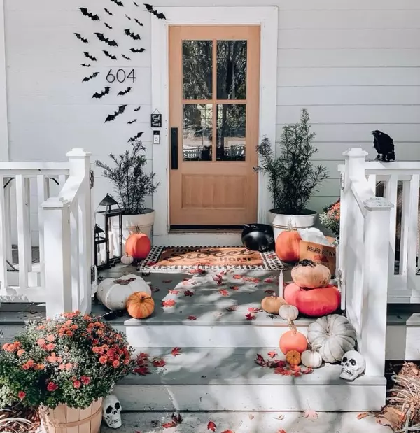 Fall Highlights