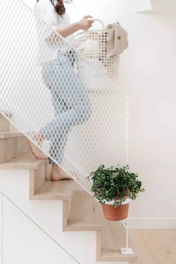 August Home Tips: Stay Ahead of the Season