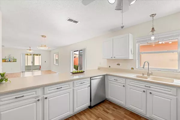 613 NUEVO LEON LN, The Villages, FL 32159