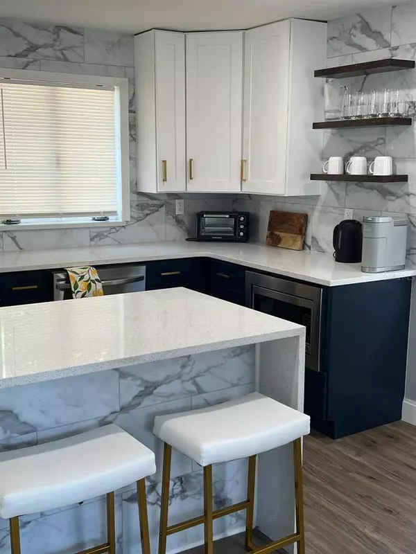 905 W 11TH AVE, Mount Dora, FL 32757