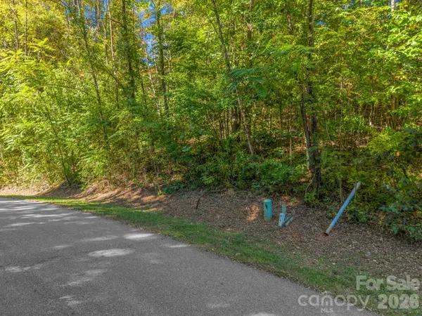 999 Falkirk WAY #16A, Zirconia, NC 28790