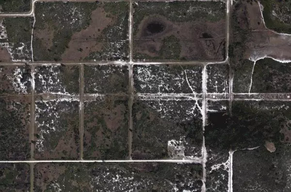 1622 S NITSCHKE RD, Avon Park, FL 33825