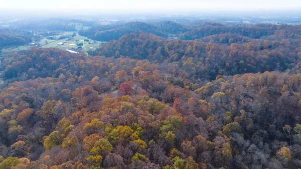 11 Brazier Lane, Gallatin, TN 37066