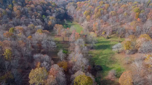 14 Brazier Drive, Gallatin, TN 37066
