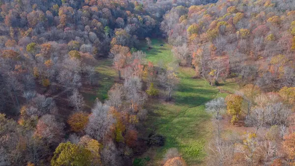 14 Brazier Drive, Gallatin, TN 37066