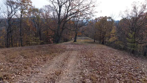 14 Brazier Drive, Gallatin, TN 37066