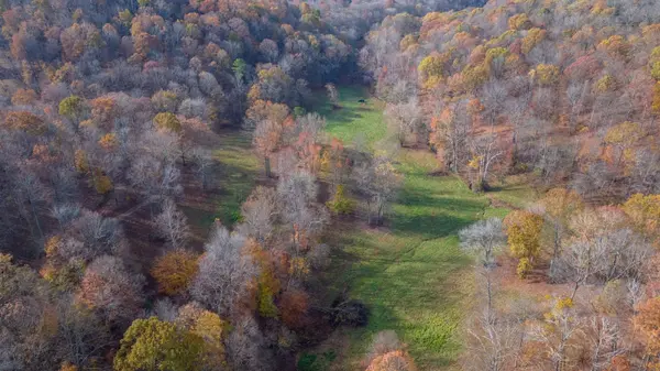 0 Brazier Lane, Gallatin, TN 37066