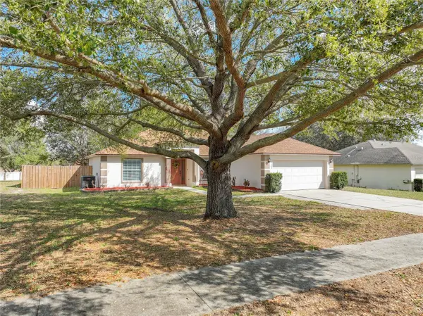 1103 LAKEVIEW OAKS DR, Minneola, FL 34715