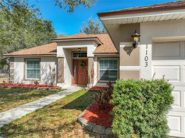 1103 LAKEVIEW OAKS DR, Minneola, FL 34715