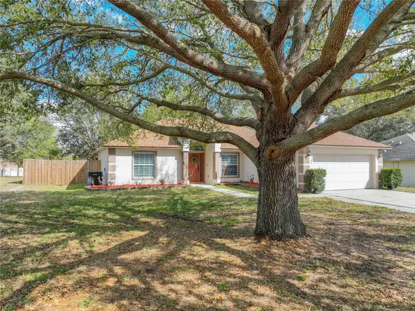 1103 LAKEVIEW OAKS DR, Minneola, FL 34715