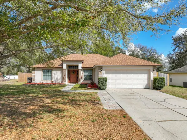 1103 LAKEVIEW OAKS DR, Minneola, FL 34715