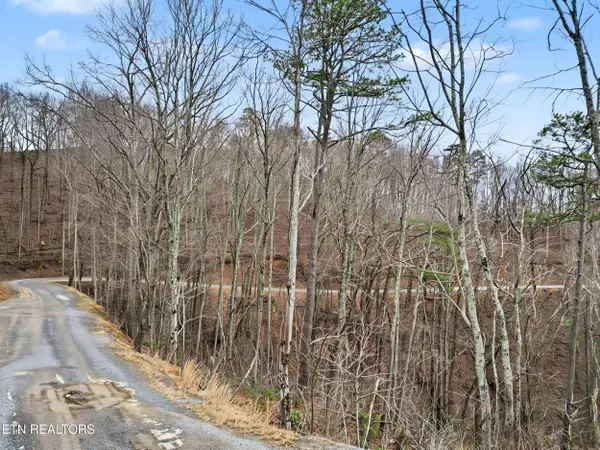 Sugar Maple Loop Rd, Sevierville, TN 37862