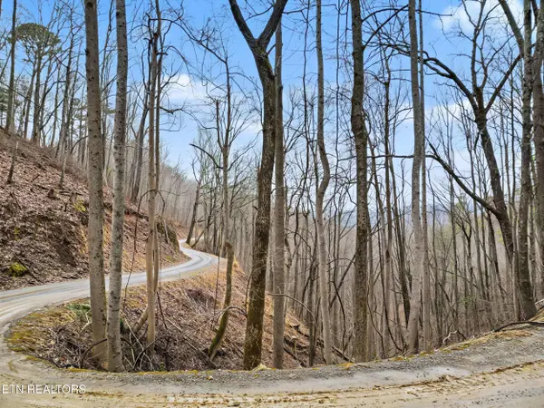 Sugar Maple Loop Rd, Sevierville, TN 37862