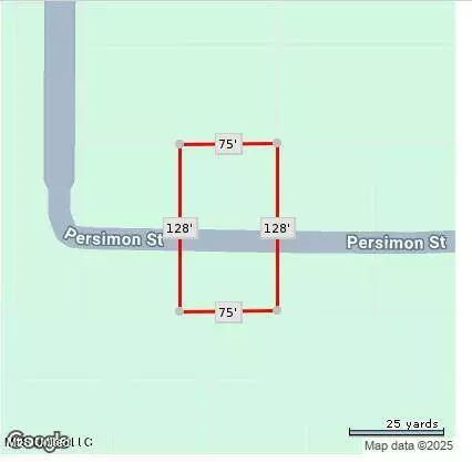 Persimmon Avenue, Ocean Springs, MS 39564