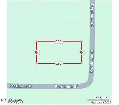 Persimmon Avenue, Ocean Springs, MS 39564