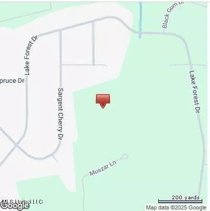 Muszar Lane, Ocean Springs, MS 39565