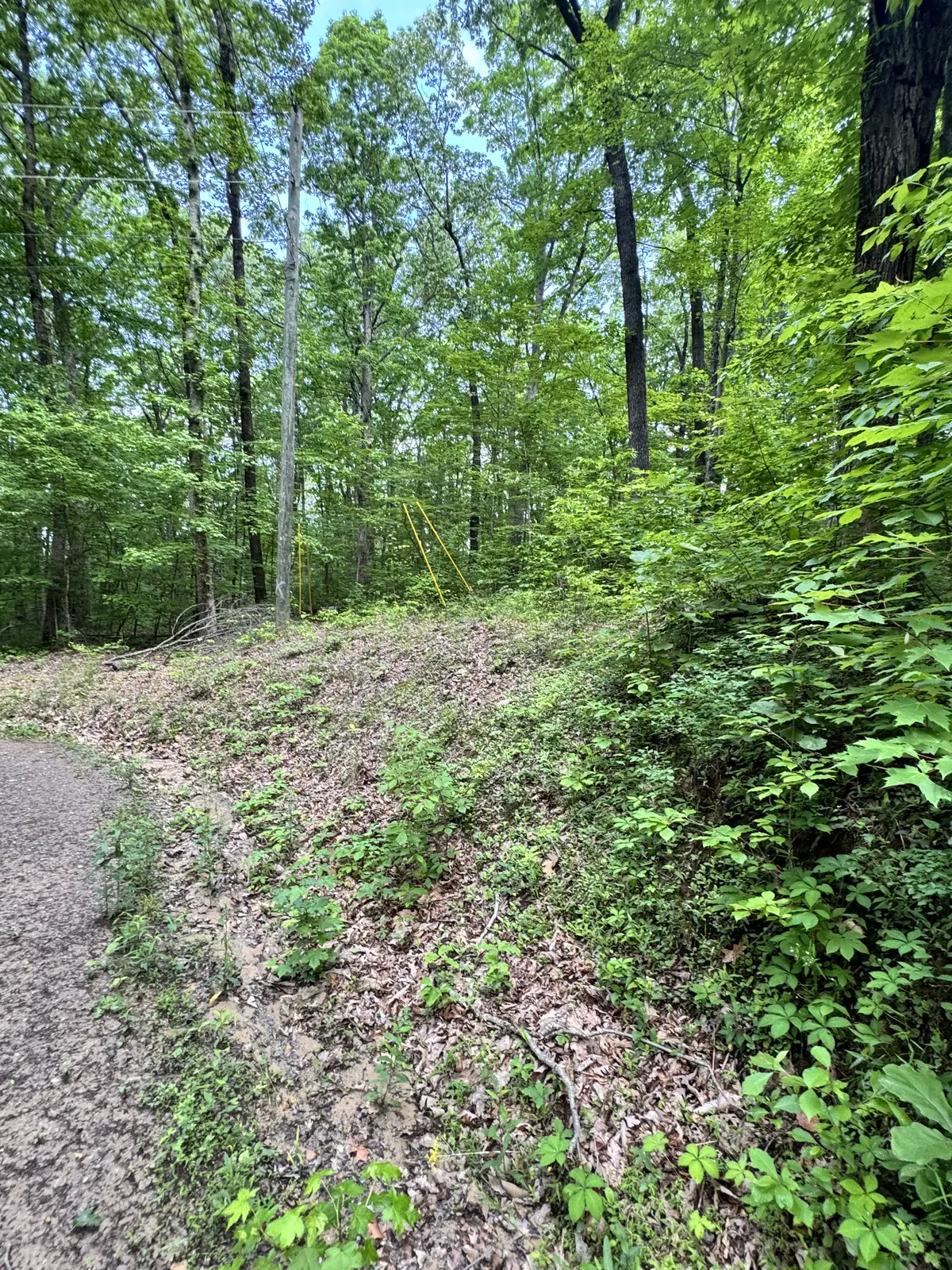 Prettiest Sunset Way Lot #4, Seymour Tn,