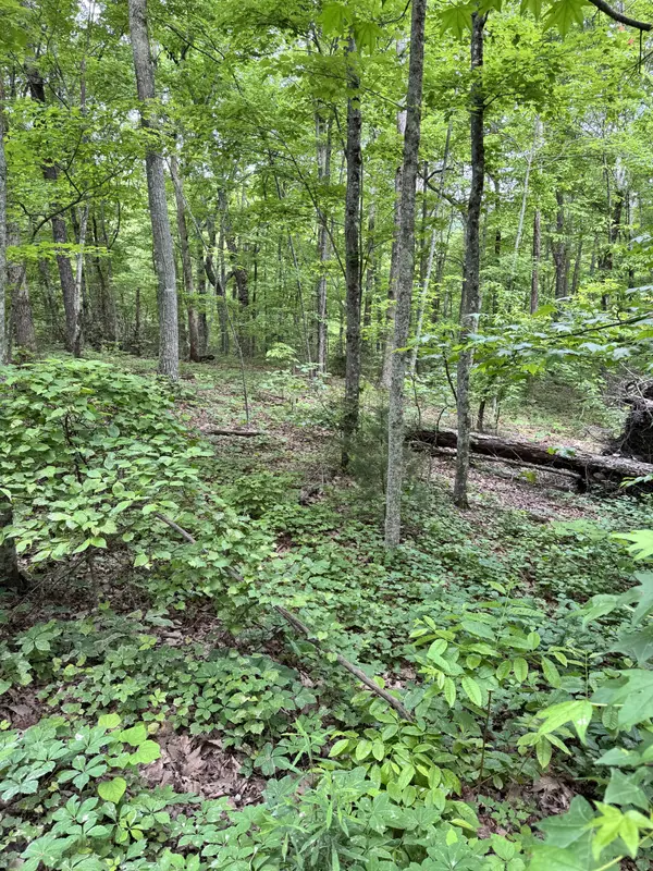 Prettiest Sunset Way Lot #3 Seymour TN 37865