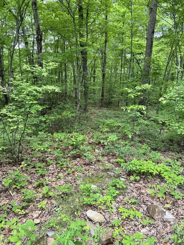 Prettiest Sunset Way Lot #3 Seymour TN 37865