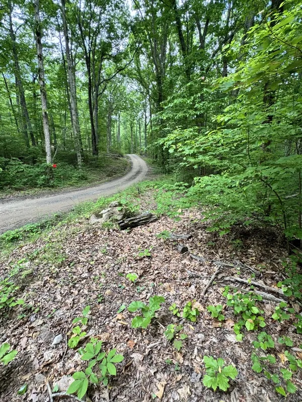 Prettiest Sunset Way Lot #4, Seymour Tn,