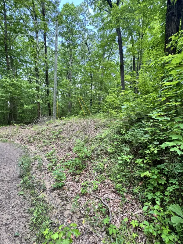 Prettiest Sunset Way Lot #4, Seymour Tn, 