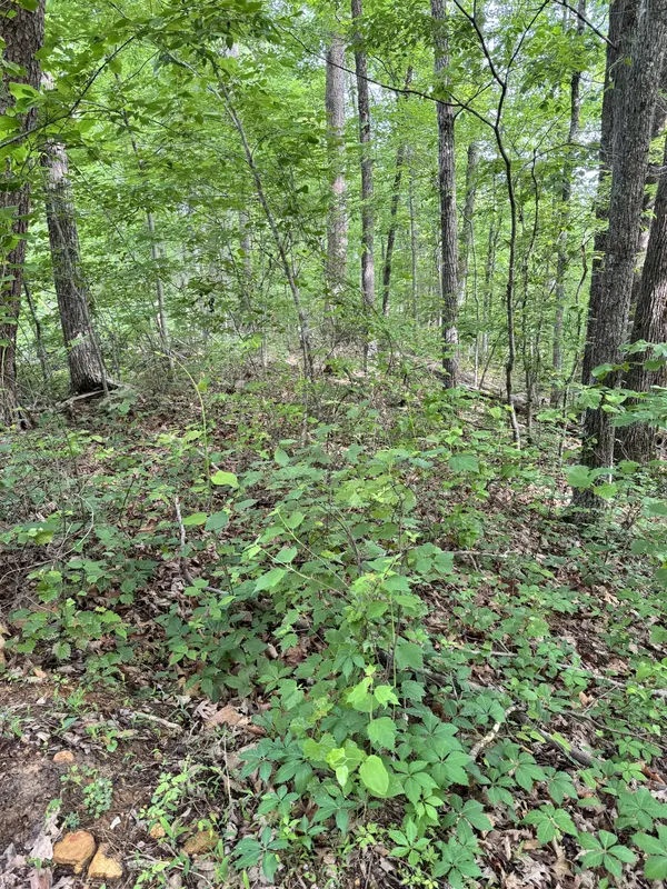 Prettiest Sunset Way Lot #5 Seymour, Tn 37865, 