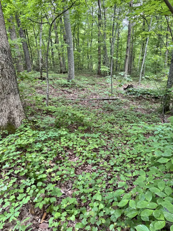 Prettiest Sunset Way Lot #3 Seymour TN 37865