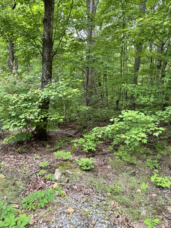 Prettiest Sunset Way Lot #3 Seymour TN 37865