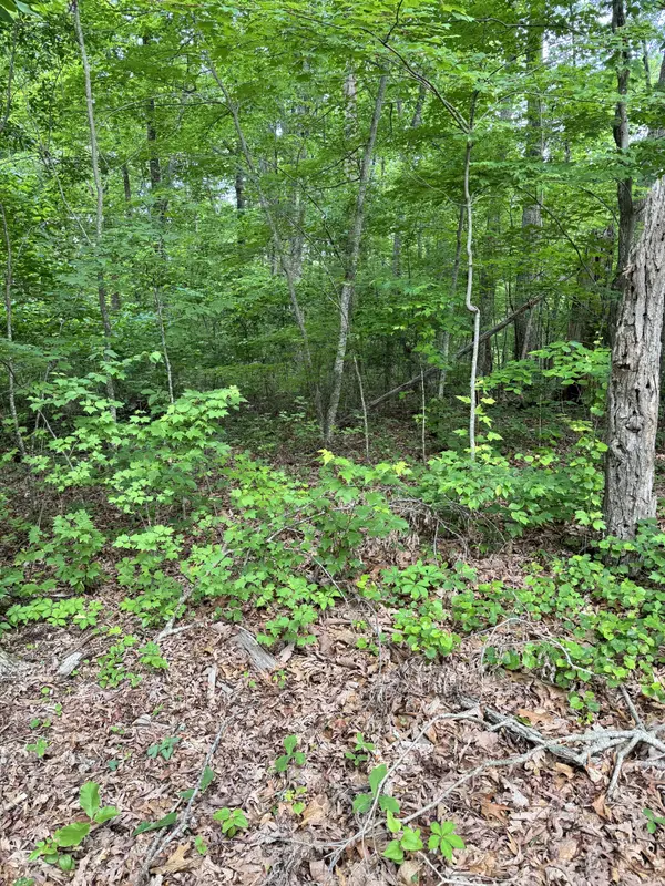 Prettiest Sunset Way Lot #5 Seymour, Tn 37865,