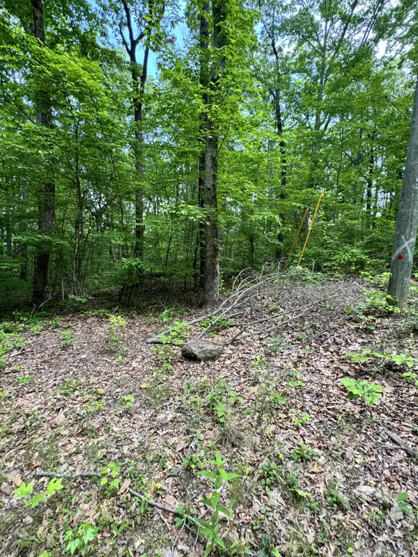 Prettiest Sunset Way Lot #4, Seymour Tn,